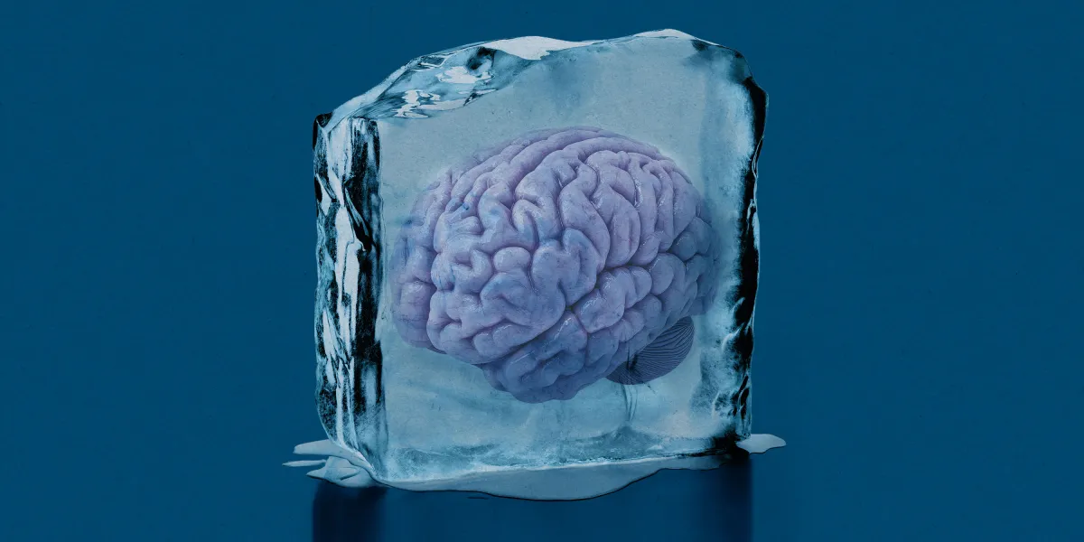 brain ice2.jpg