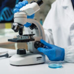 Home nfinance asia2fcontent2fshutterstock 2684555797.jpgh630w1200q100v4908ac7b80c1.jpeg