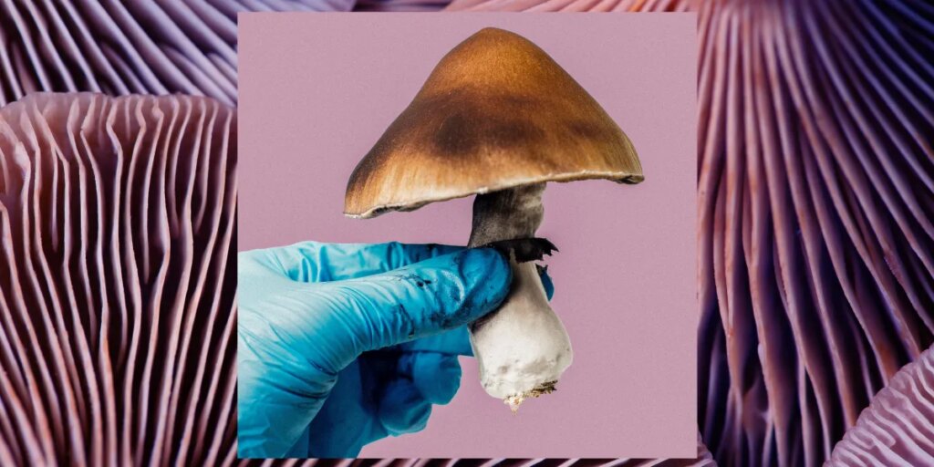 Mind-altering substances are (still) falling short in clinical trials psilocybin med.jpg