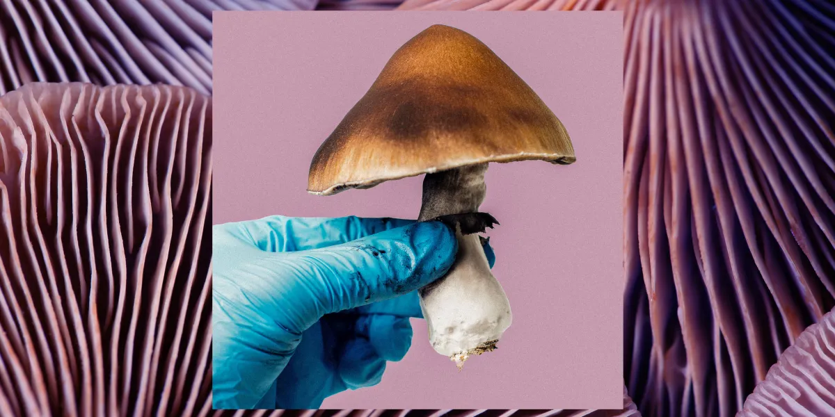 psilocybin med.jpg