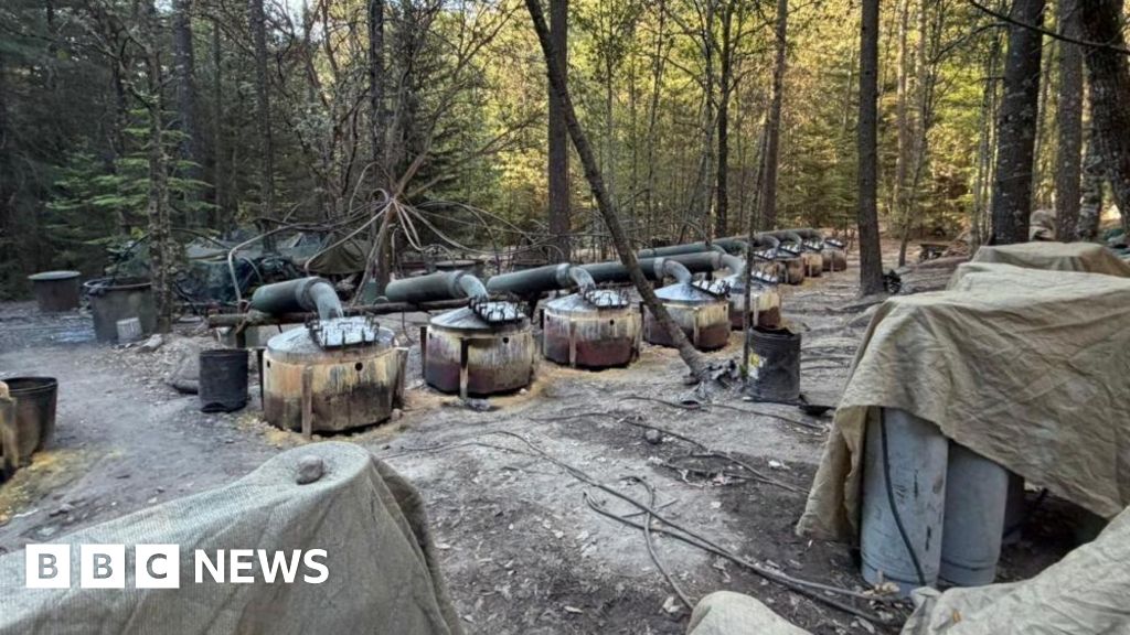 30a335b0 3d70 11f1 bb8a 374117ea6afa.jpg