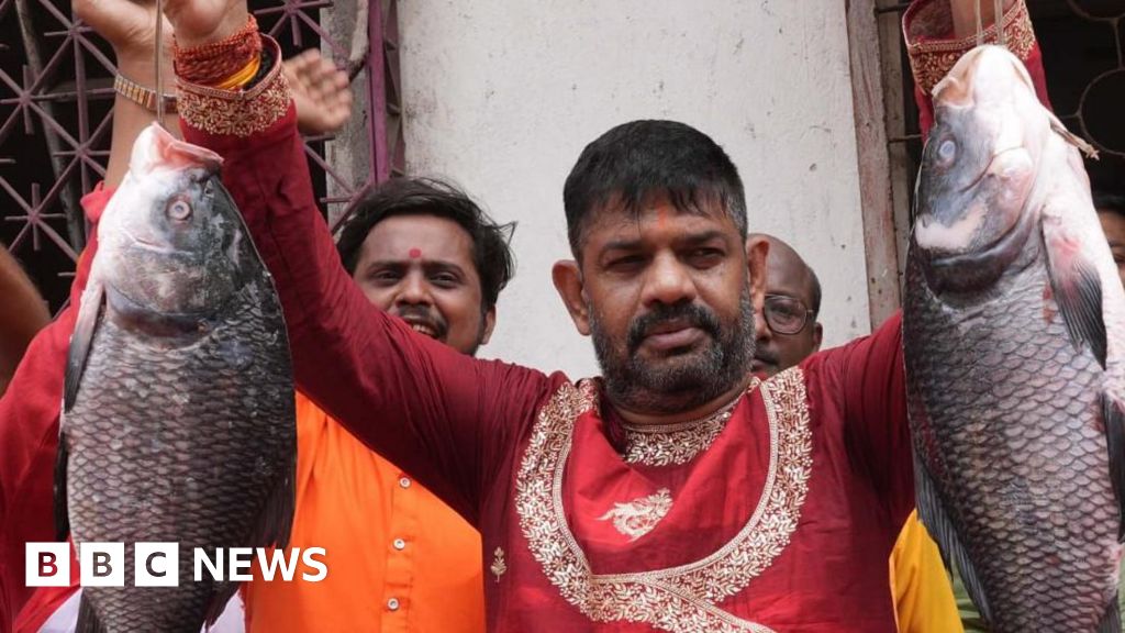 3489d4e0 3ca3 11f1 8e26 931170ebc0de.jpg