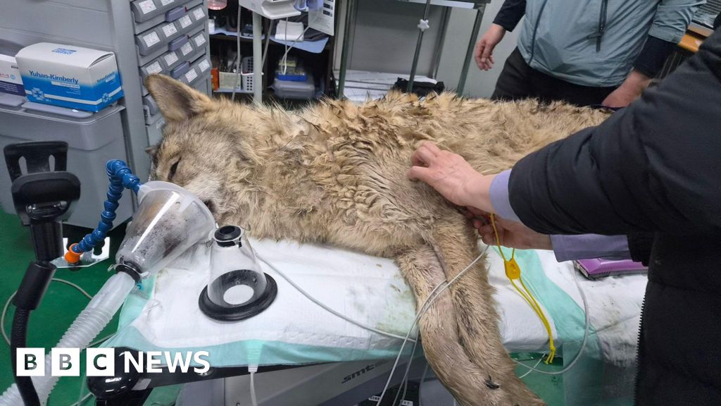 abeccb00 39f1 11f1 92bc b9005df71ed3.jpg