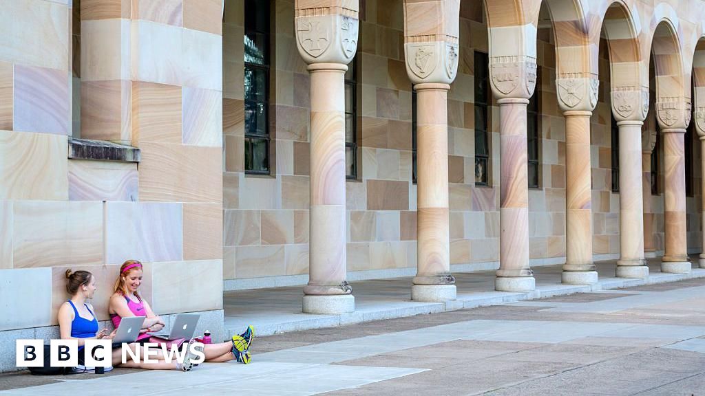 c6a576e0 3f8c 11f1 966b 3b5896ac34b1.jpg