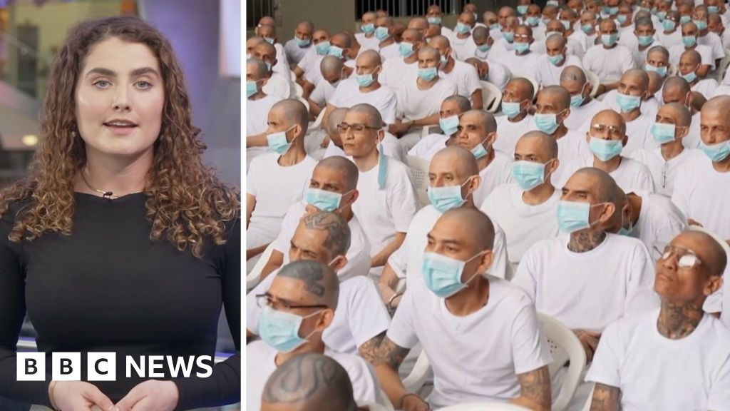 e6244c40 3da6 11f1 bd52 e755d604ece4.jpg