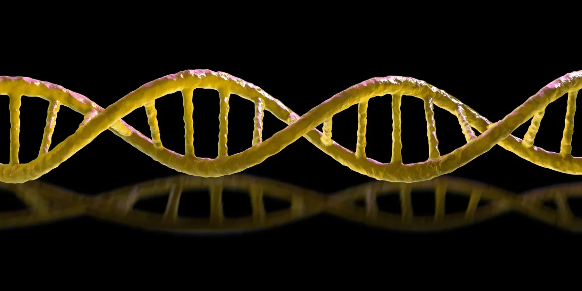 mirror dna.jpg