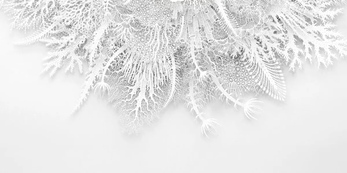 top rogan e1775253210506.jpg