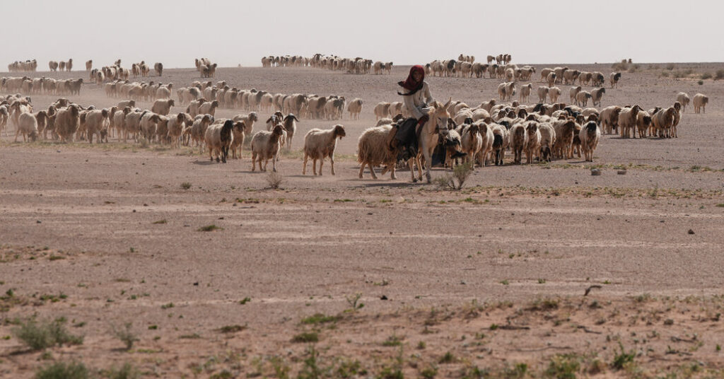 In Iraqi Desert, Two Israeli Outposts Were Kept Secret for Months 00int iraq israel base 01 vqlz facebookjumbo.jpg