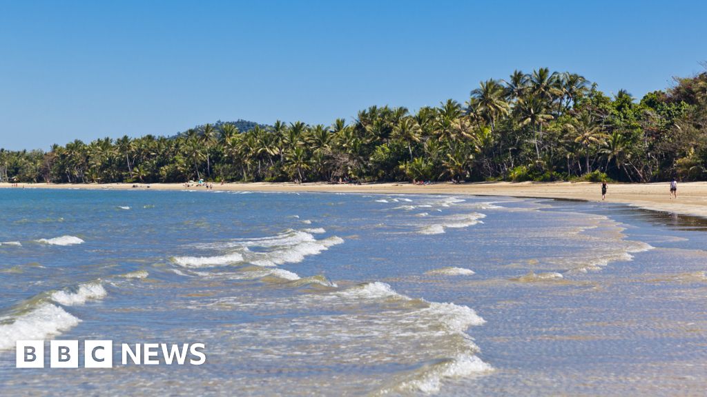 Man killed in shark attack off Australia's north-east coast 10cc3a30 573c 11f1 89a3 d1f559421220.jpg