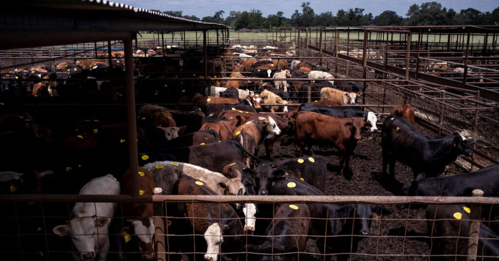 13trump xi beef wvlz facebookjumbo.jpg