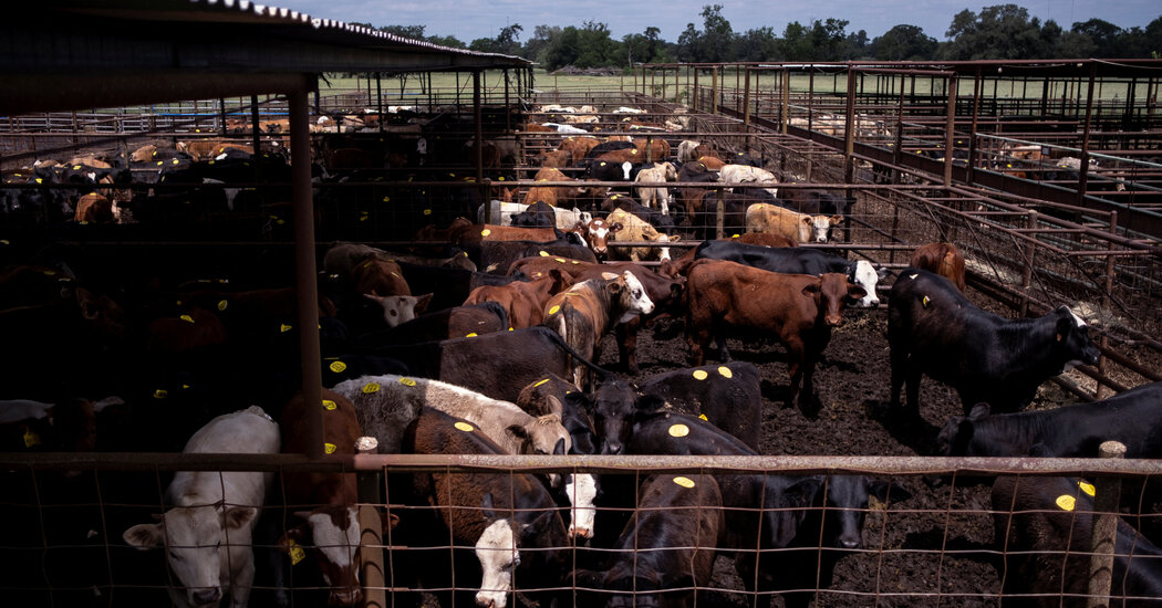 13trump xi beef wvlz facebookjumbo.jpg