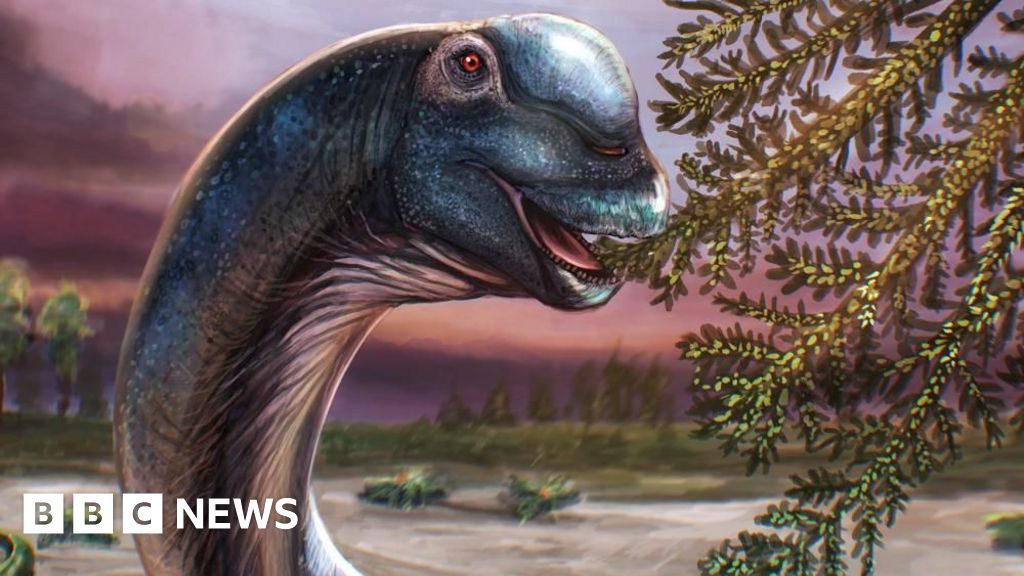Giant new dinosaur identified from fossils in Thailand c2109ea0 4fb5 11f1 8b8c 6d33e1d5abb6.jpg