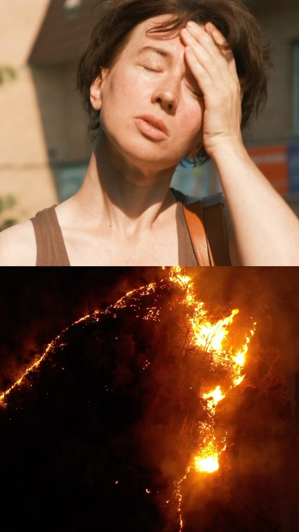 p0nl7r9h.jpg