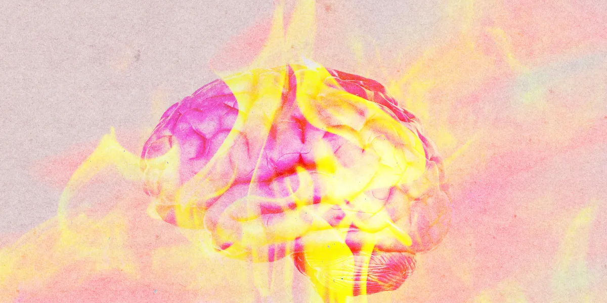 260623 checkup hotbrains.jpg