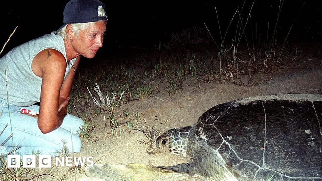 Lebanese turtle conservationist Mona Khalil killed by Israeli strike 35c8f160 6cc3 11f1 95c0 035571ba4bec.jpg