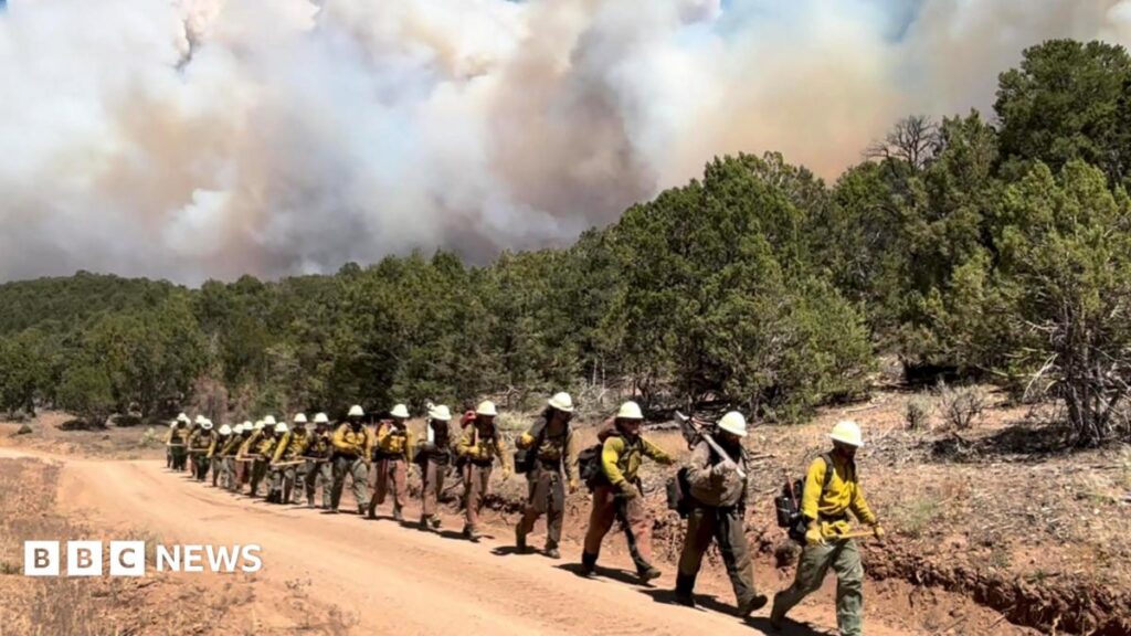 Three firefighters die battling huge wildfires in Colorado 542bb510 7304 11f1 8b3a 1977d6dee6ef.jpg