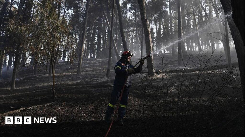 Greece wildfire leaves one dead as firefighters struggle to contain blaze b32601a0 74ae 11f1 9c5b 41132a229f02.jpg