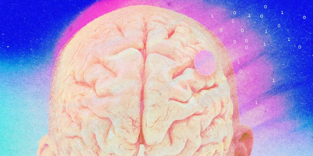 bci brain2.jpg