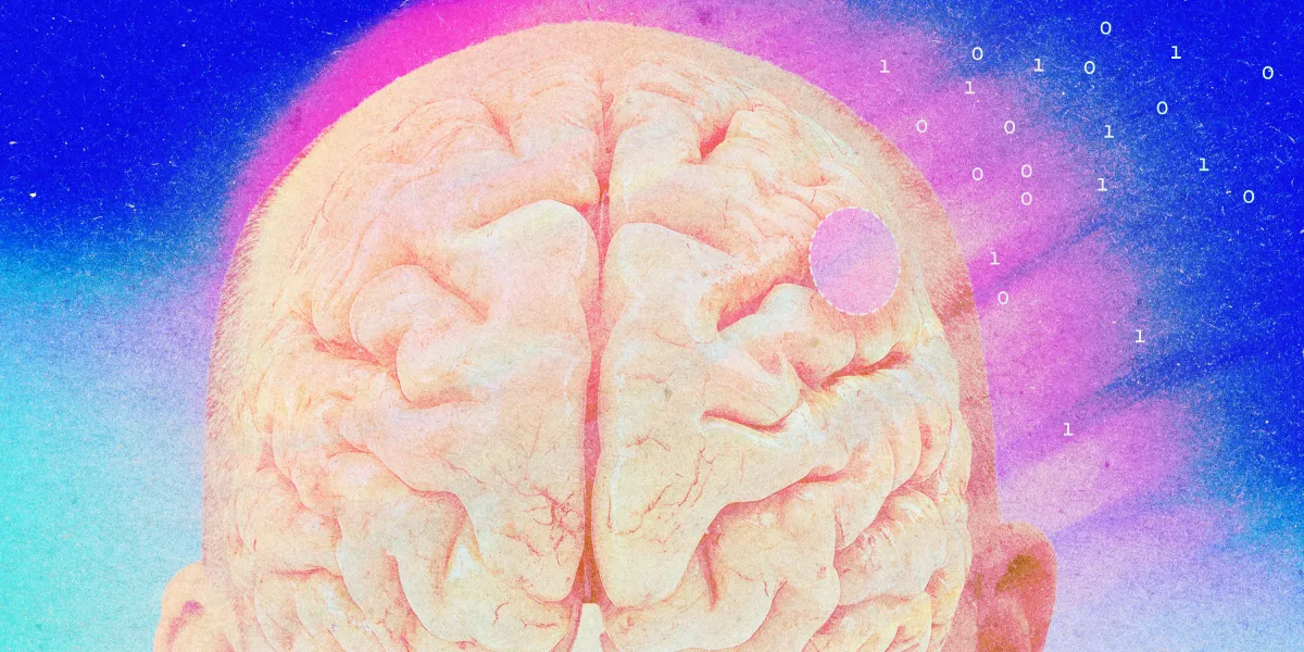 bci brain2.jpg
