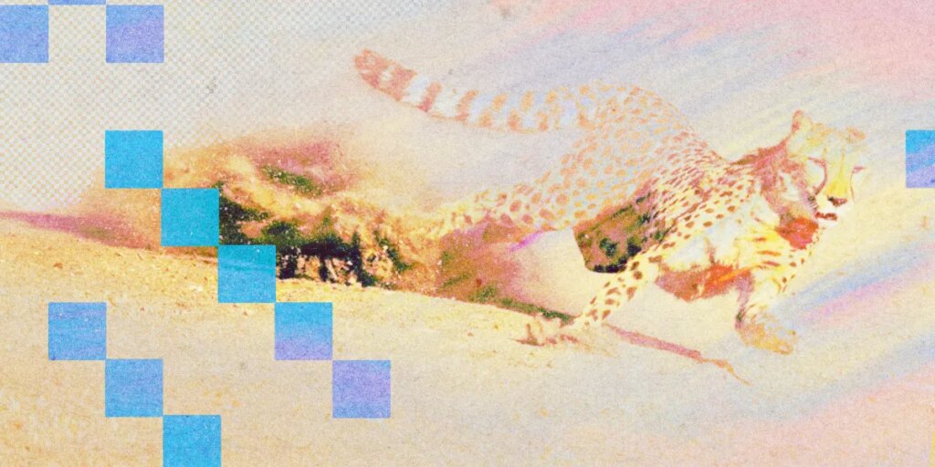 cheetah speed2a.jpg