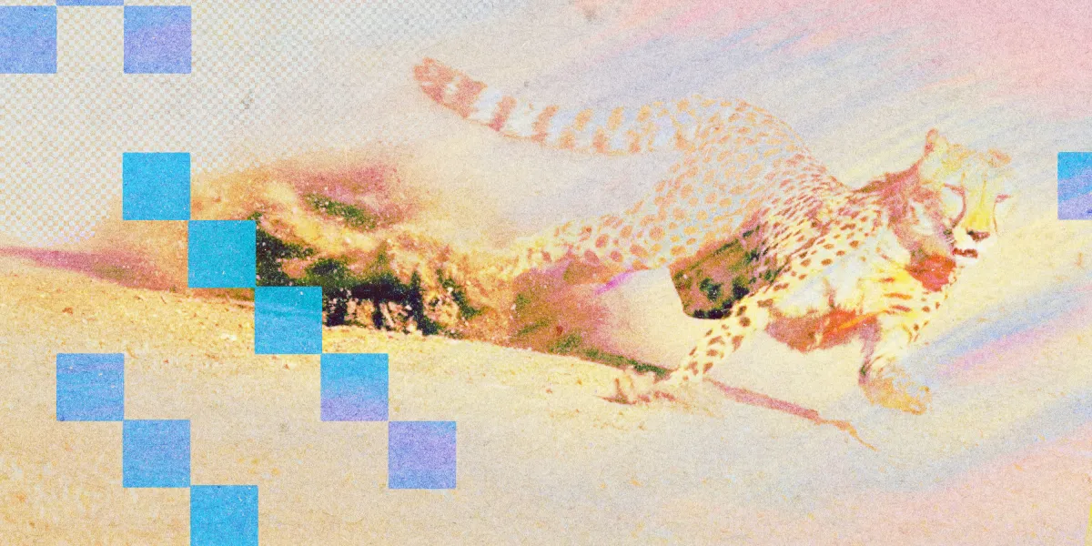 cheetah speed2a.jpg