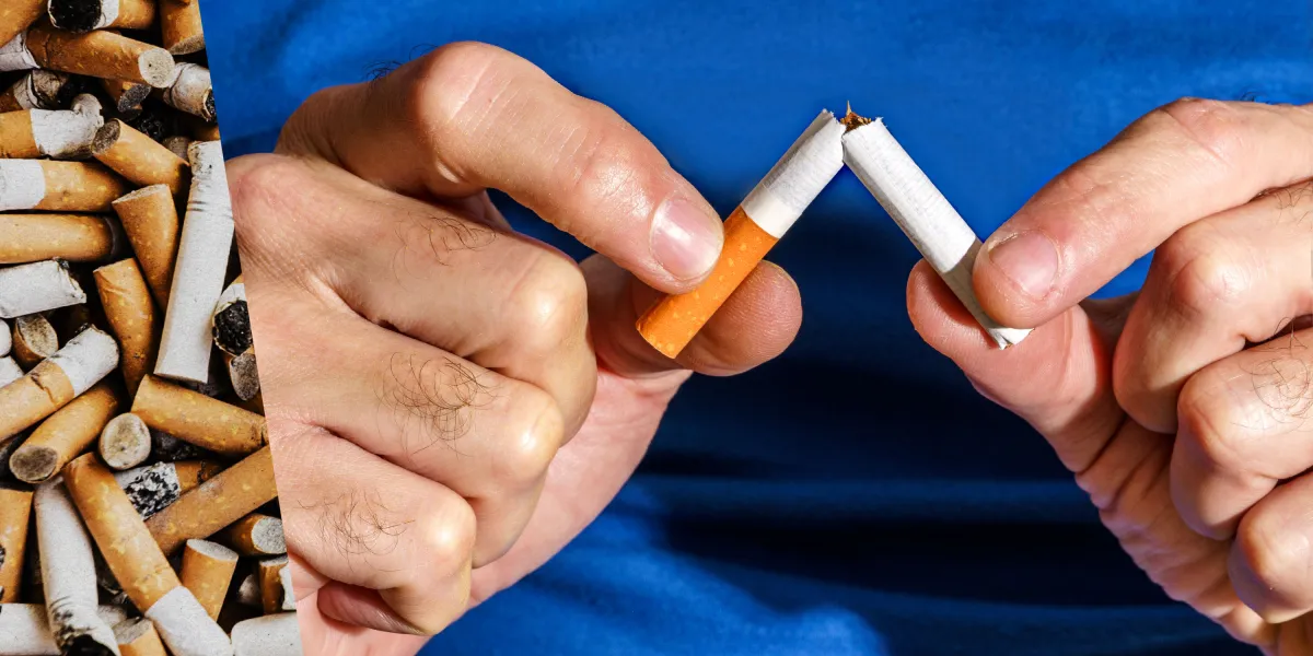 cig template new.jpg