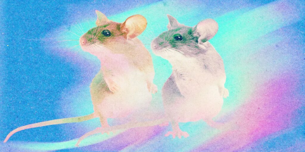 clone mice.jpg