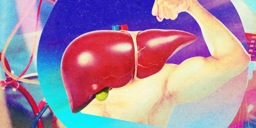 liver perfusion.jpg