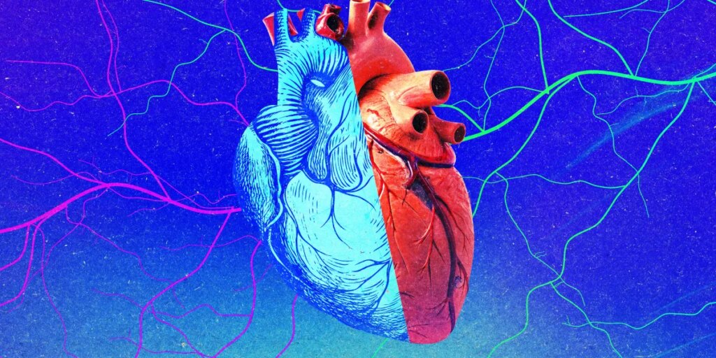 young old heart.jpg