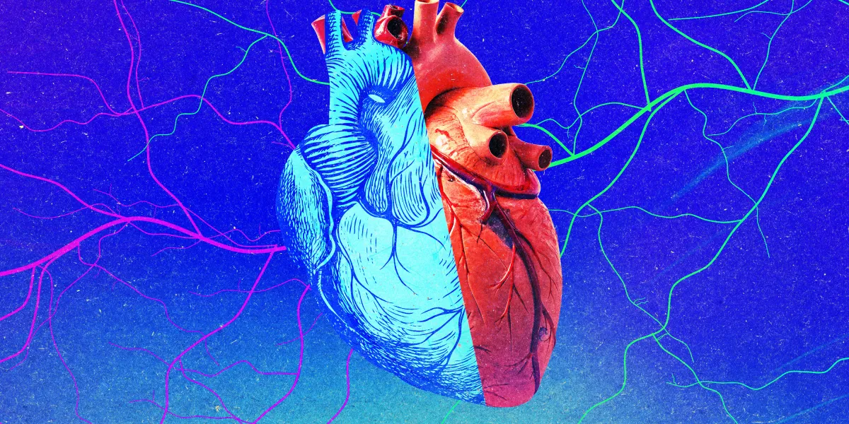 young old heart.jpg