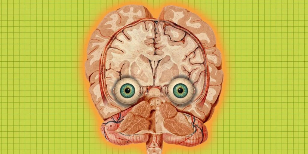 eye brains.jpg